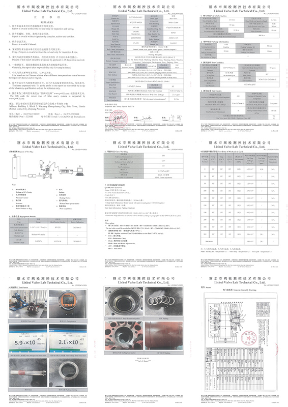 NPS8 CL600 球阀-2.jpg