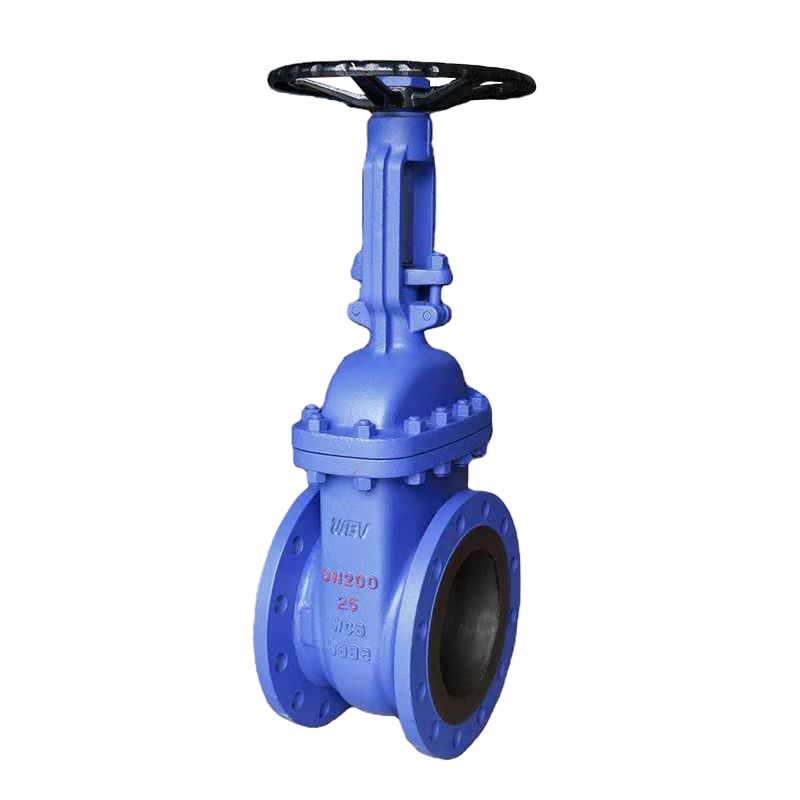 德标碳钢明杆闸阀 DIN c.s RS gate valve Z41W-16C